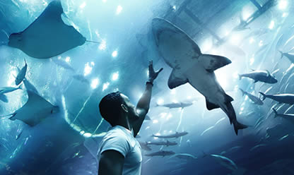 Tour a DUBAI MÁGICO CON MALDIVAS 2025 en español | Tours a China Tour a DUBAI MÁGICO CON MALDIVAS 2025 en español | Tours a China