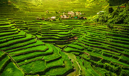 Tour a FILIPINAS ESENCIAL Y JOYAS DE PALAWAN 2025 en español | Tours a China Tour a FILIPINAS ESENCIAL Y JOYAS DE PALAWAN 2025 en español | Tours a China